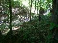 gal/Saison 2012/Championnat_Lorraine_Seniors_VTT_Boust_17_aout_2012/_thb_100_5654.JPG